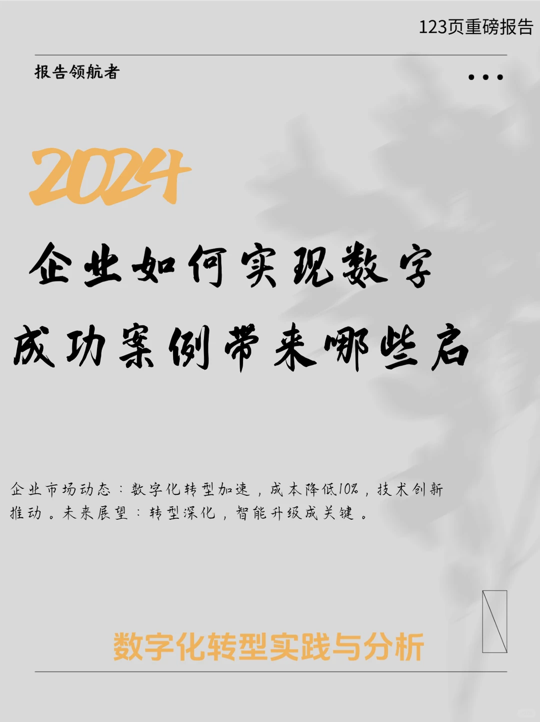 2024中国企业数字化转型案例研究