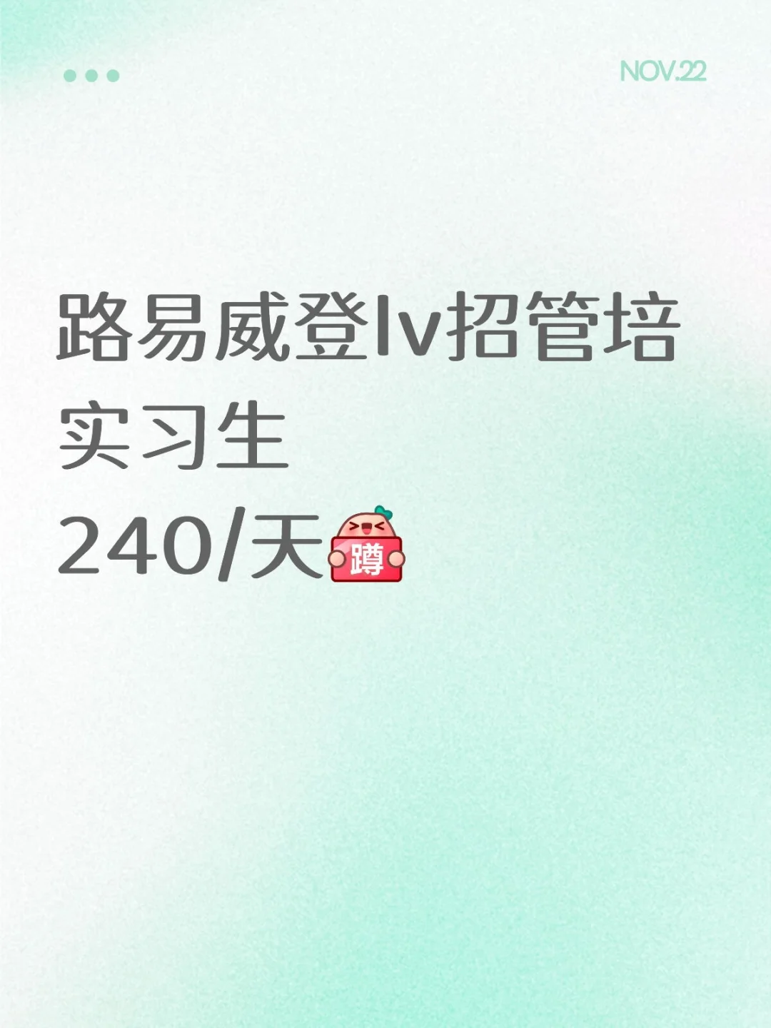 路易威登lv招管培实习生,240/天