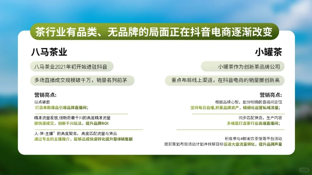 茶行业数据分析