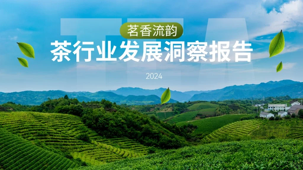 茶行业数据分析