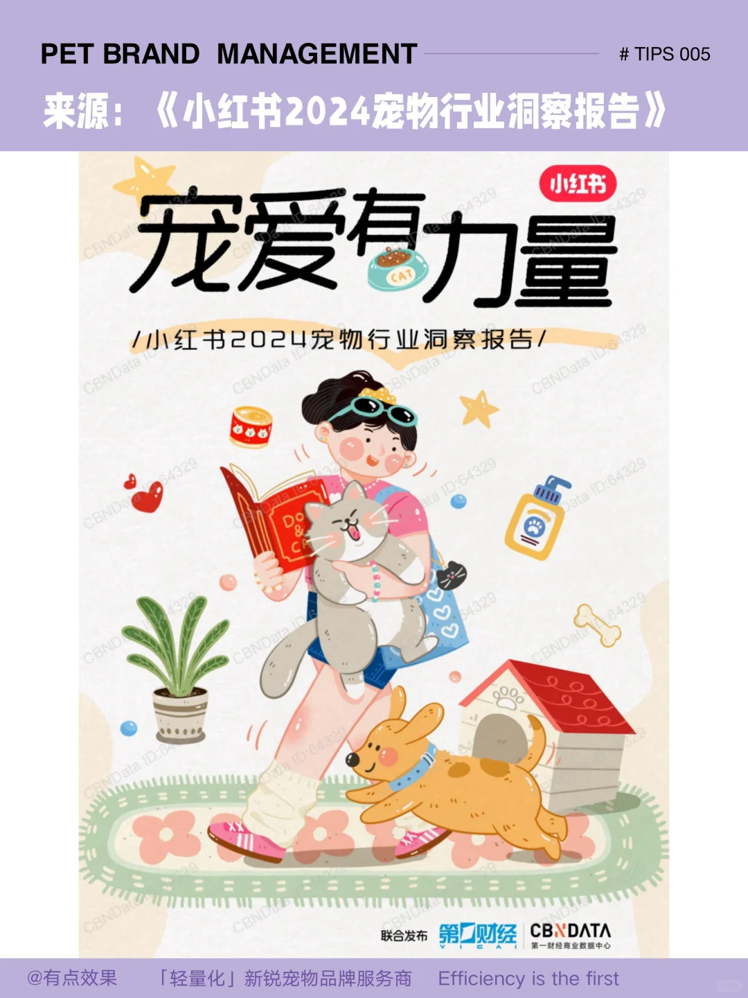 005tips|宠物行业消费人群画像