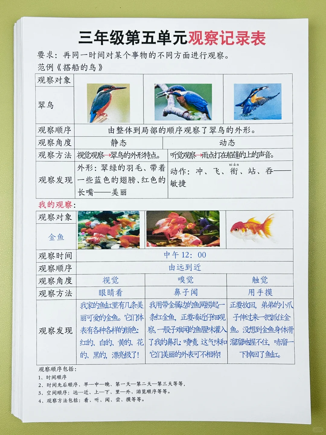 家长问爆的三年级第五单元观察记录表‼️