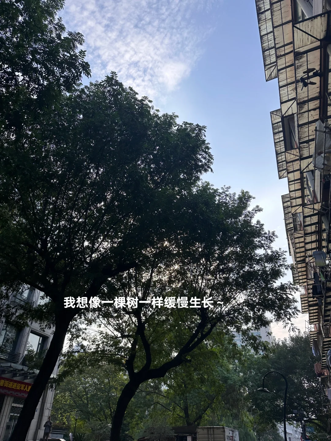 为什么会选择医美行业?