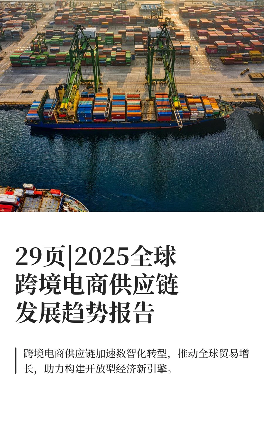 29页|2025全球跨境电商供应链发展趋势