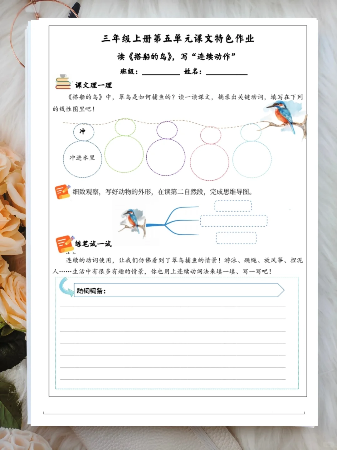三上第五单元《搭船的鸟》观察记录表?