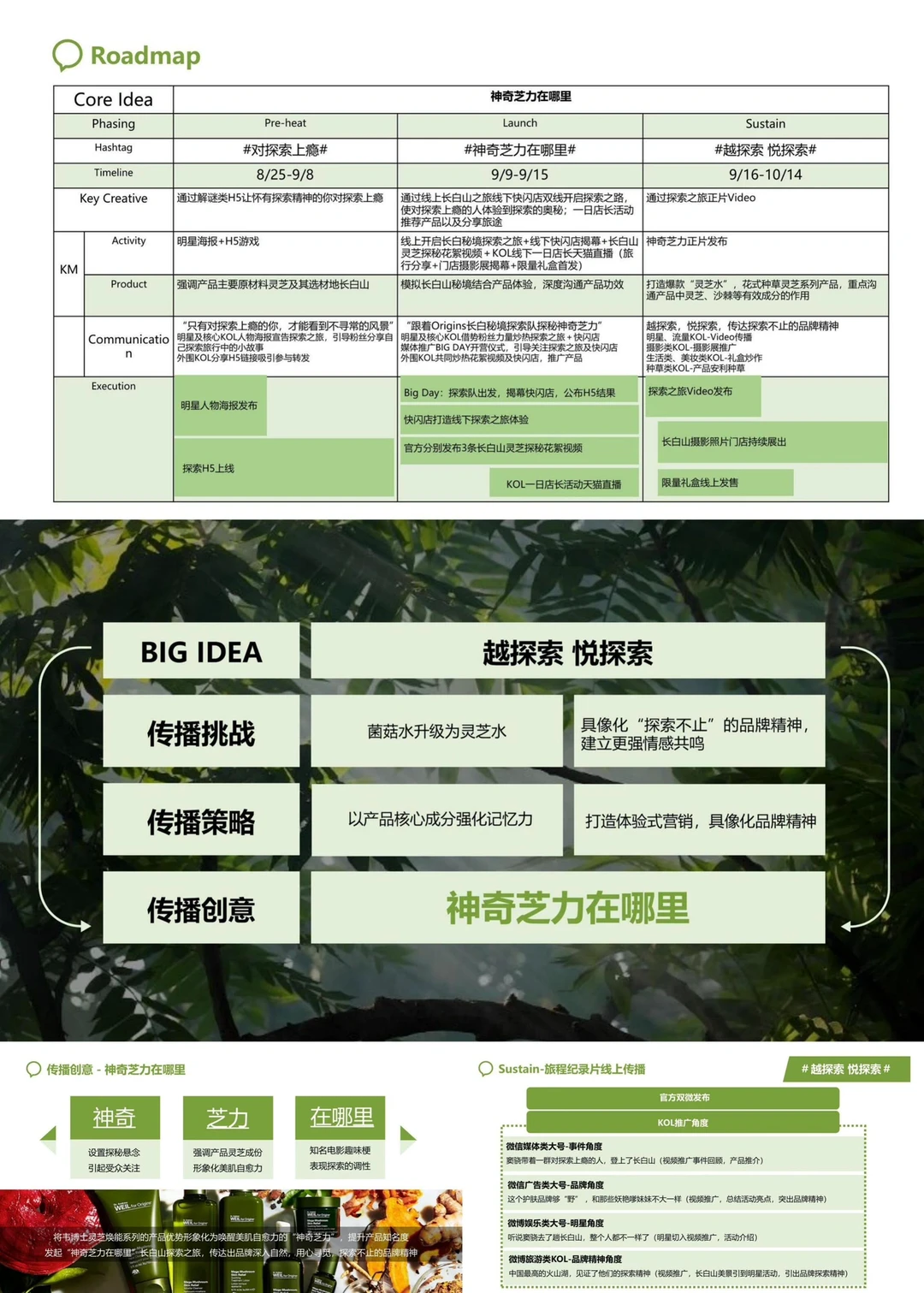 ??你写的出快消品营销方案吗,赶紧码住