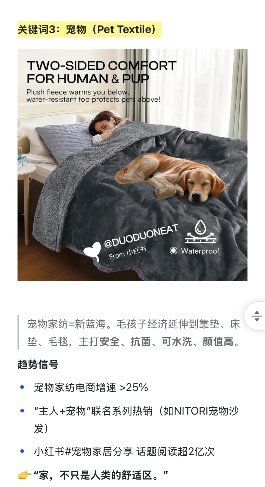 2025家纺行业发展方向