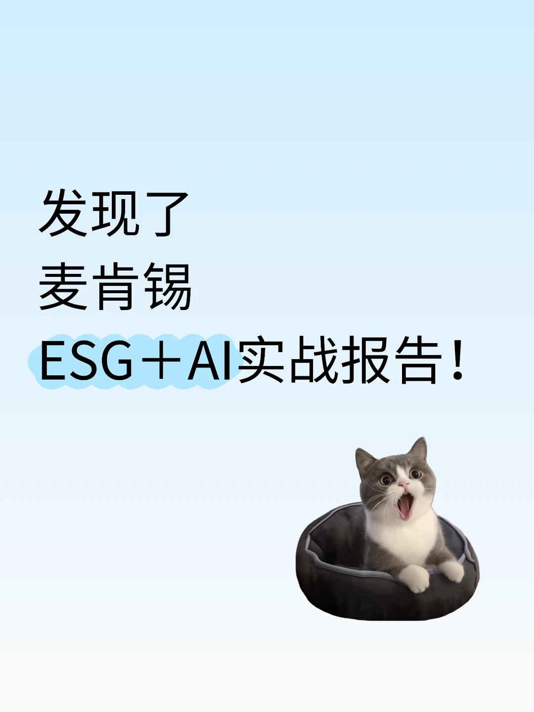 发现了麦肯锡ESG+AI实战报告!