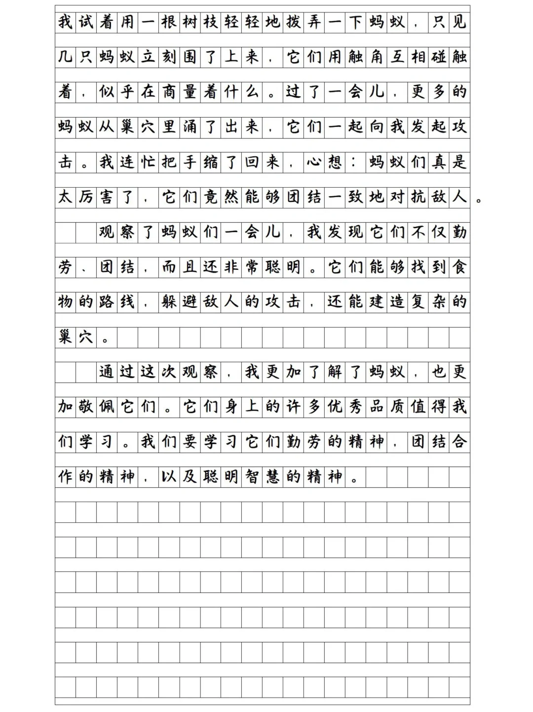 《观察蚂蚁》小学作文