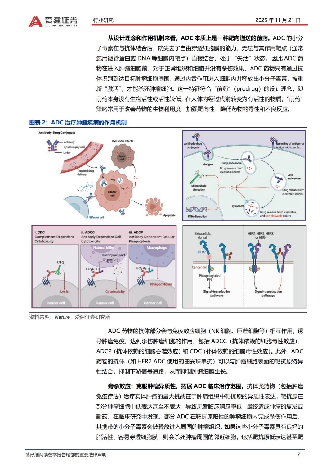 ✅2025抗体偶联药物ADC产业研究