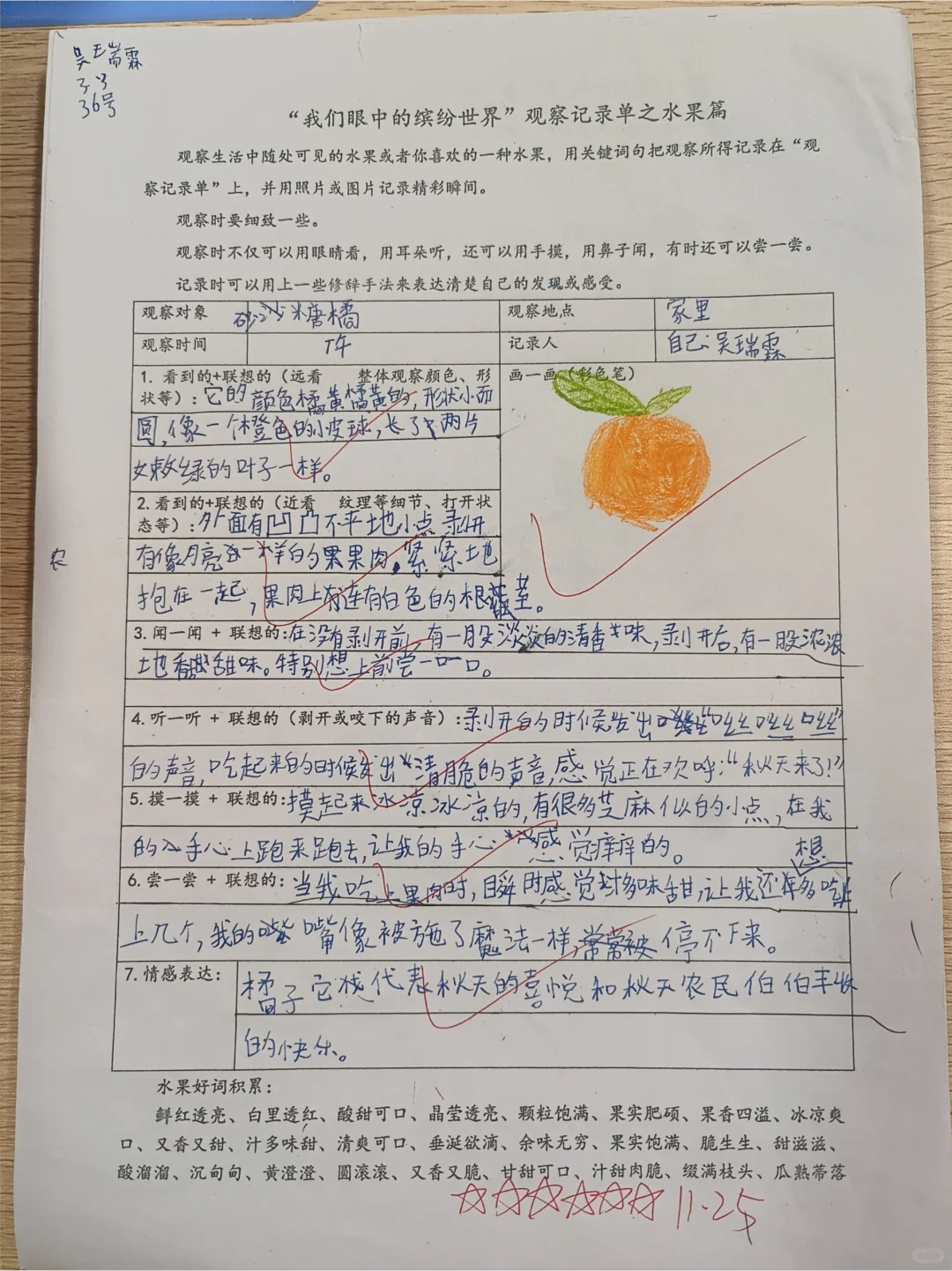 《我眼中的缤纷世界》观察单水果篇