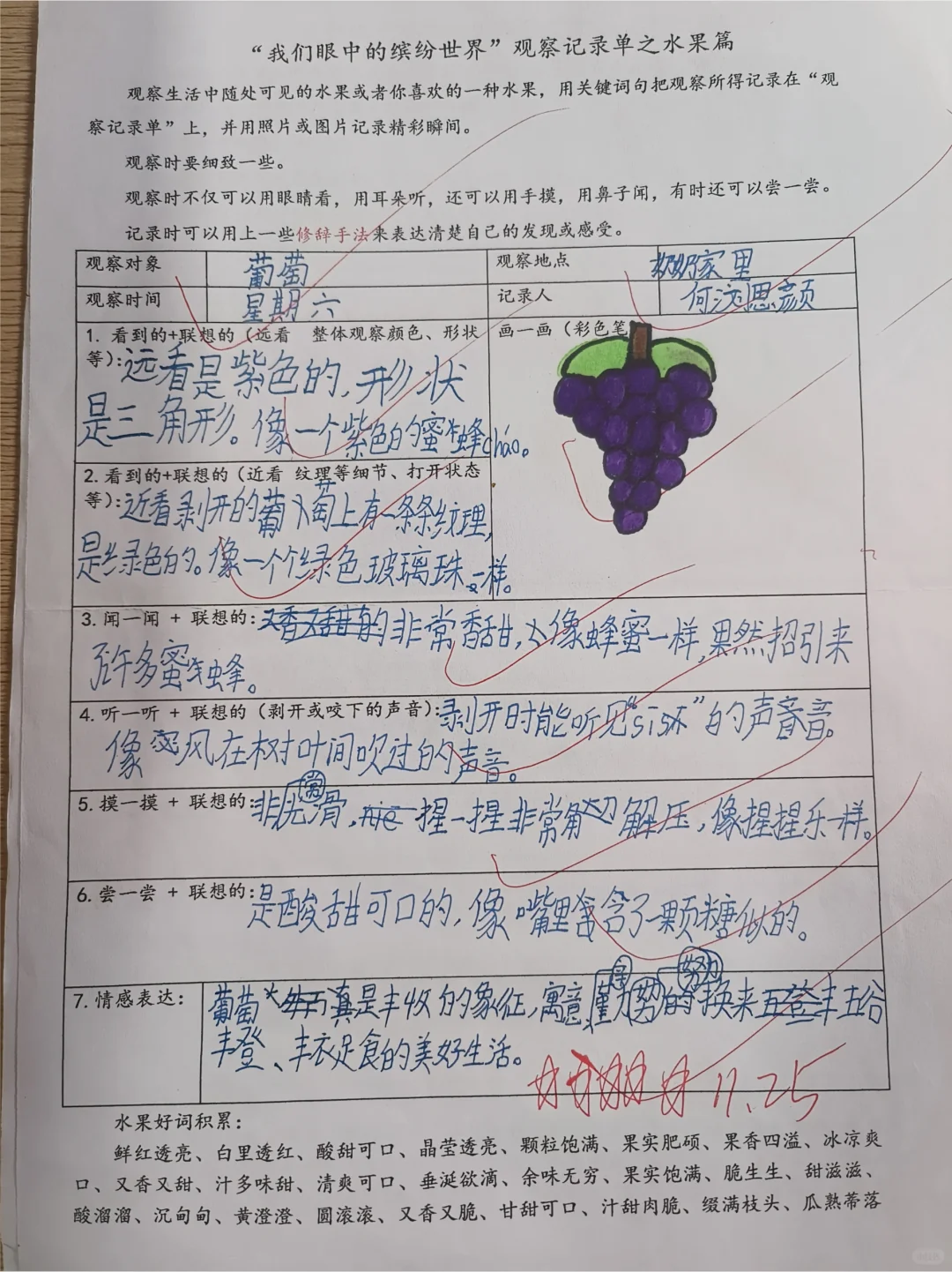 《我眼中的缤纷世界》观察单水果篇