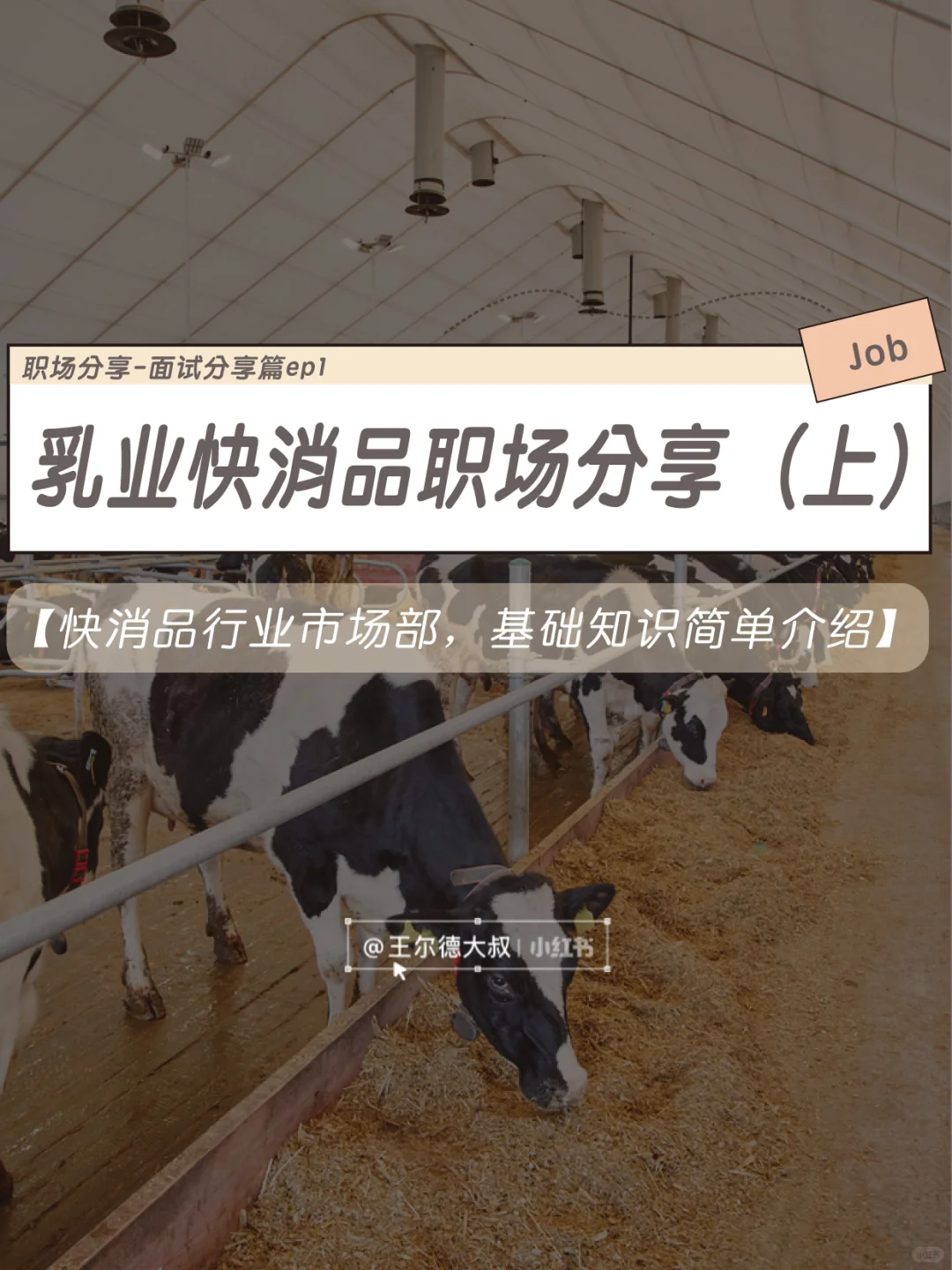 低温酸奶|快消品行业市场部分享(上)