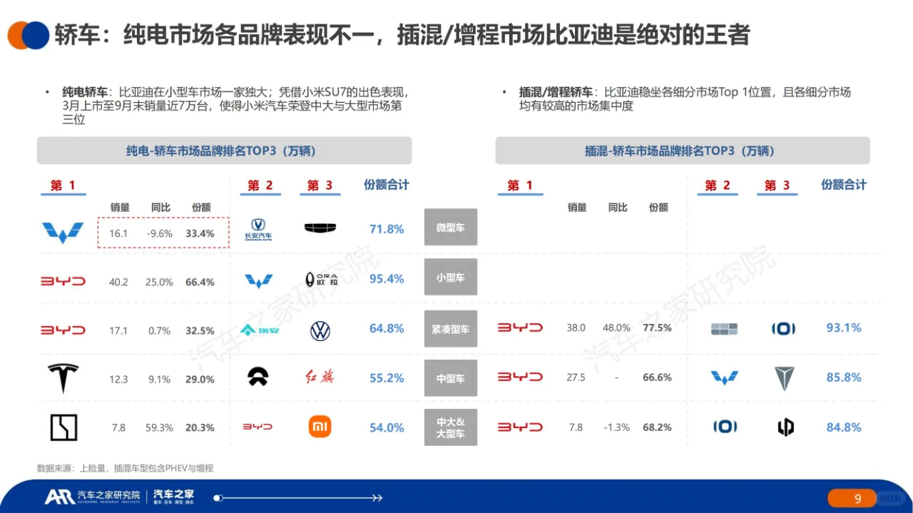 中国新能源汽车用车报告(2024 年)