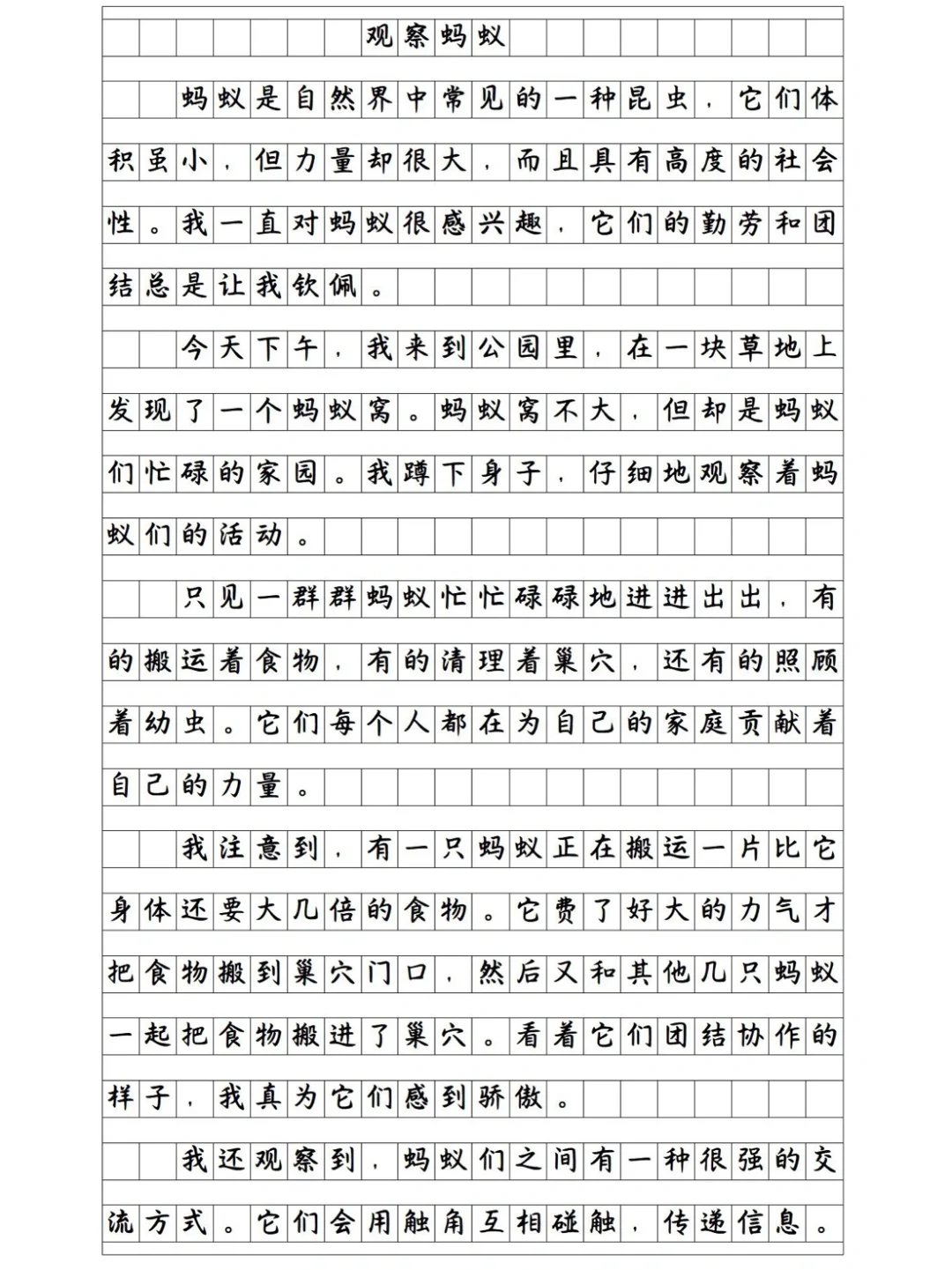 《观察蚂蚁》小学作文