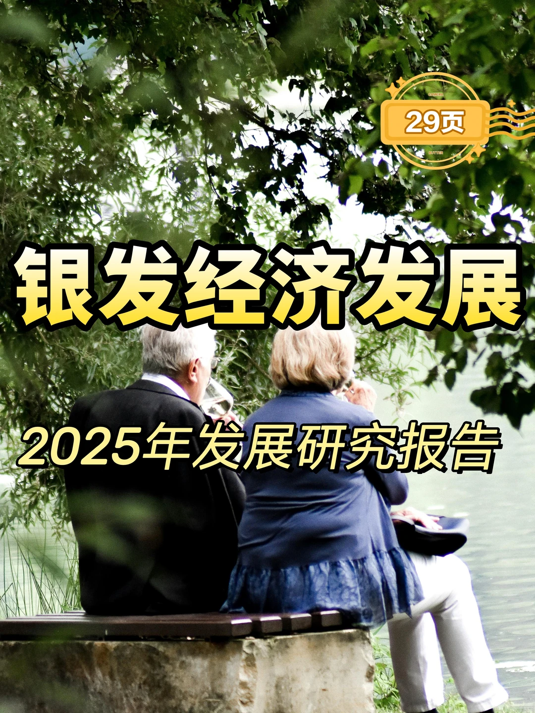 2025年银发经济发展研究报告