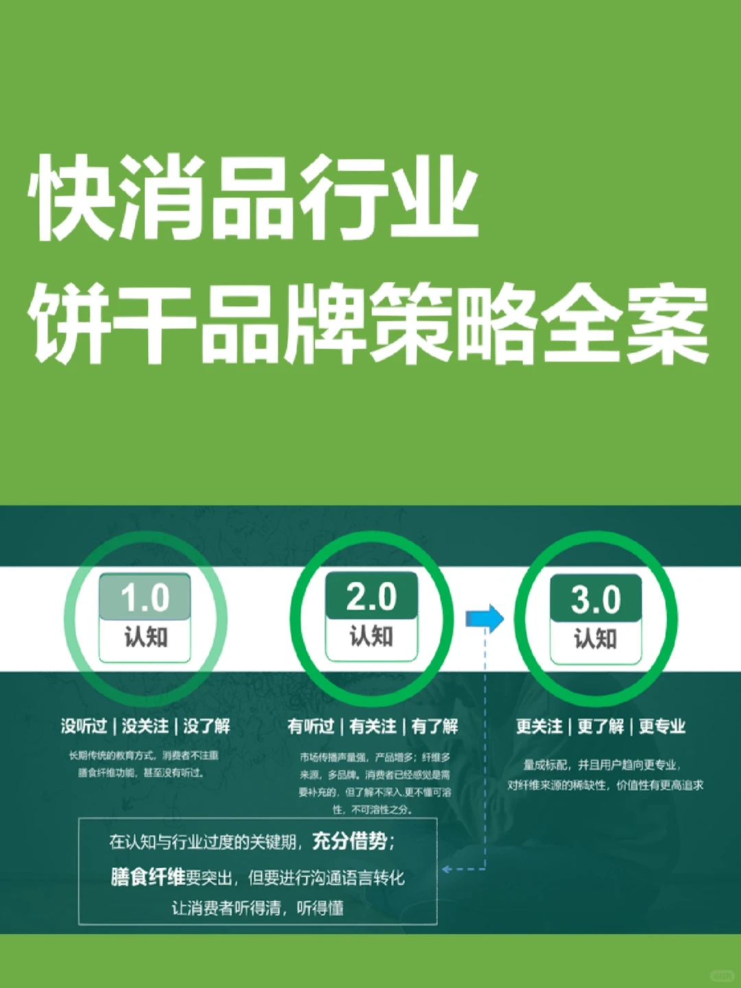 快消食品饼干品牌策略全案