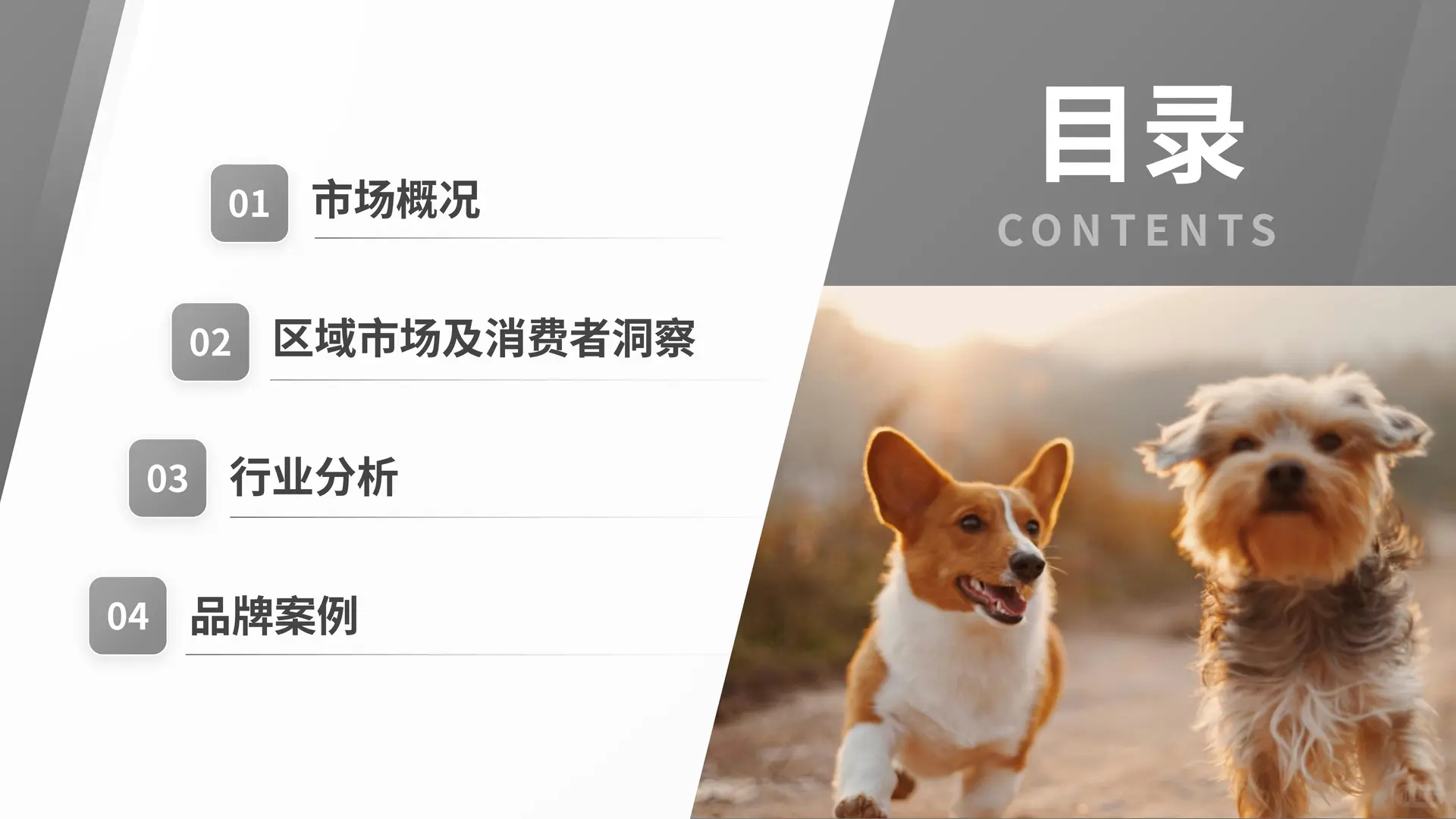 2025 宠物殡葬用品市场洞察报告