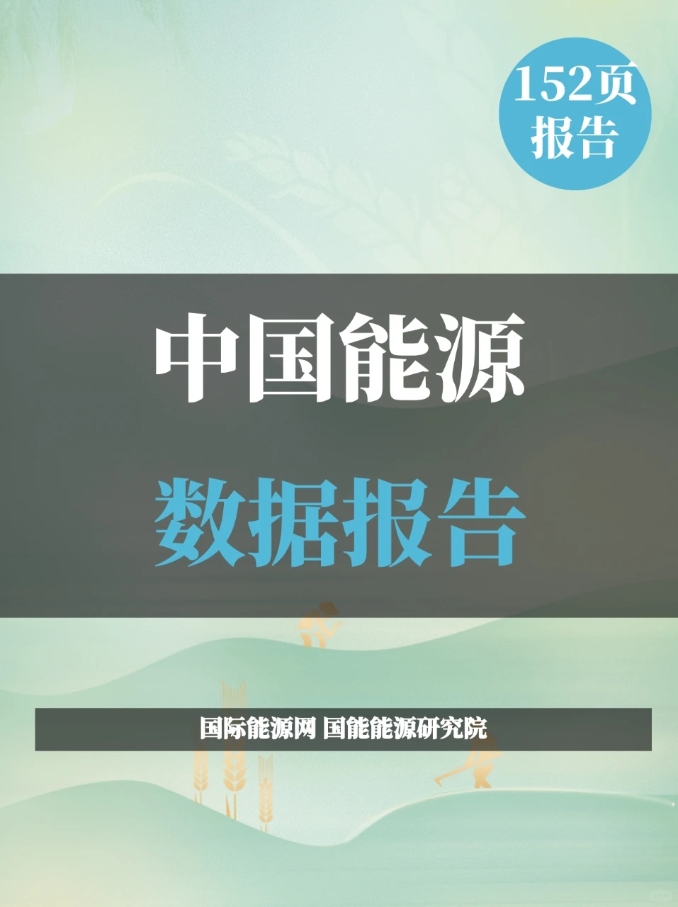 2025中国能源数据报告