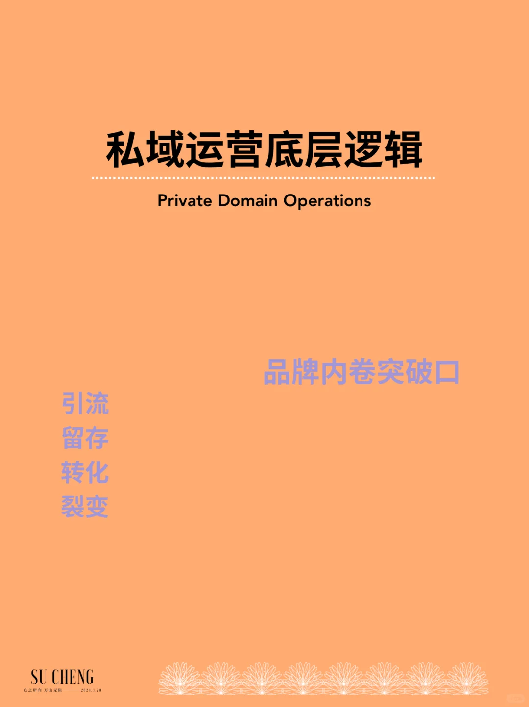 私域运营逻辑|品牌突围|流量转化