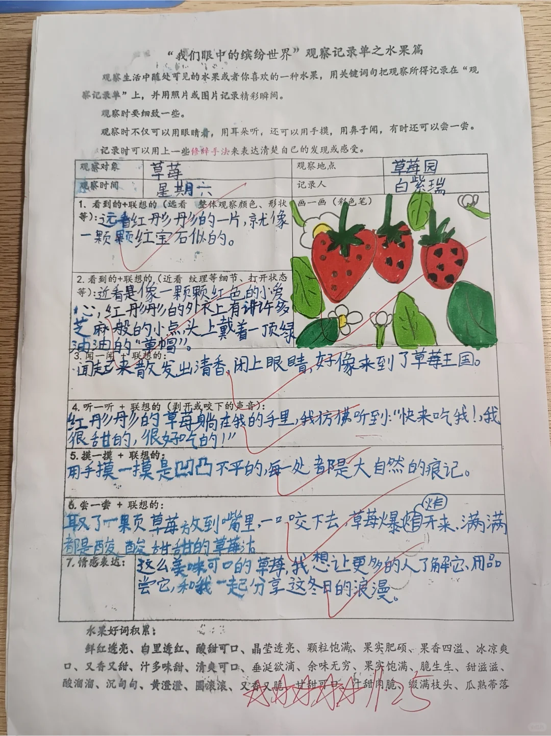 《我眼中的缤纷世界》观察单水果篇