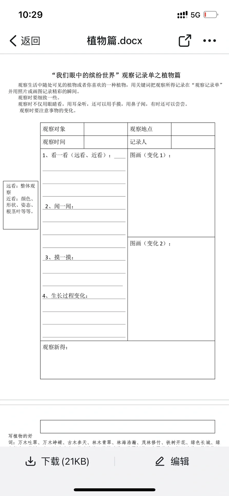 三年级上册第五单元习作观察记录单