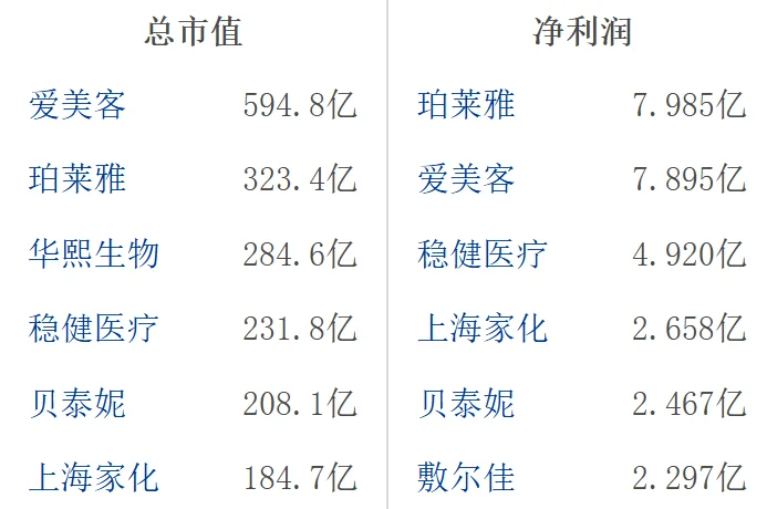 大A美容护理行业龙头