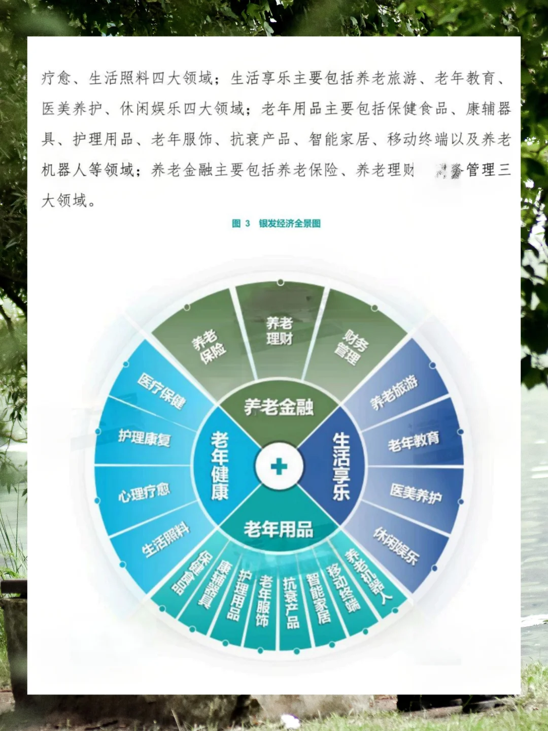 2025年银发经济发展研究报告