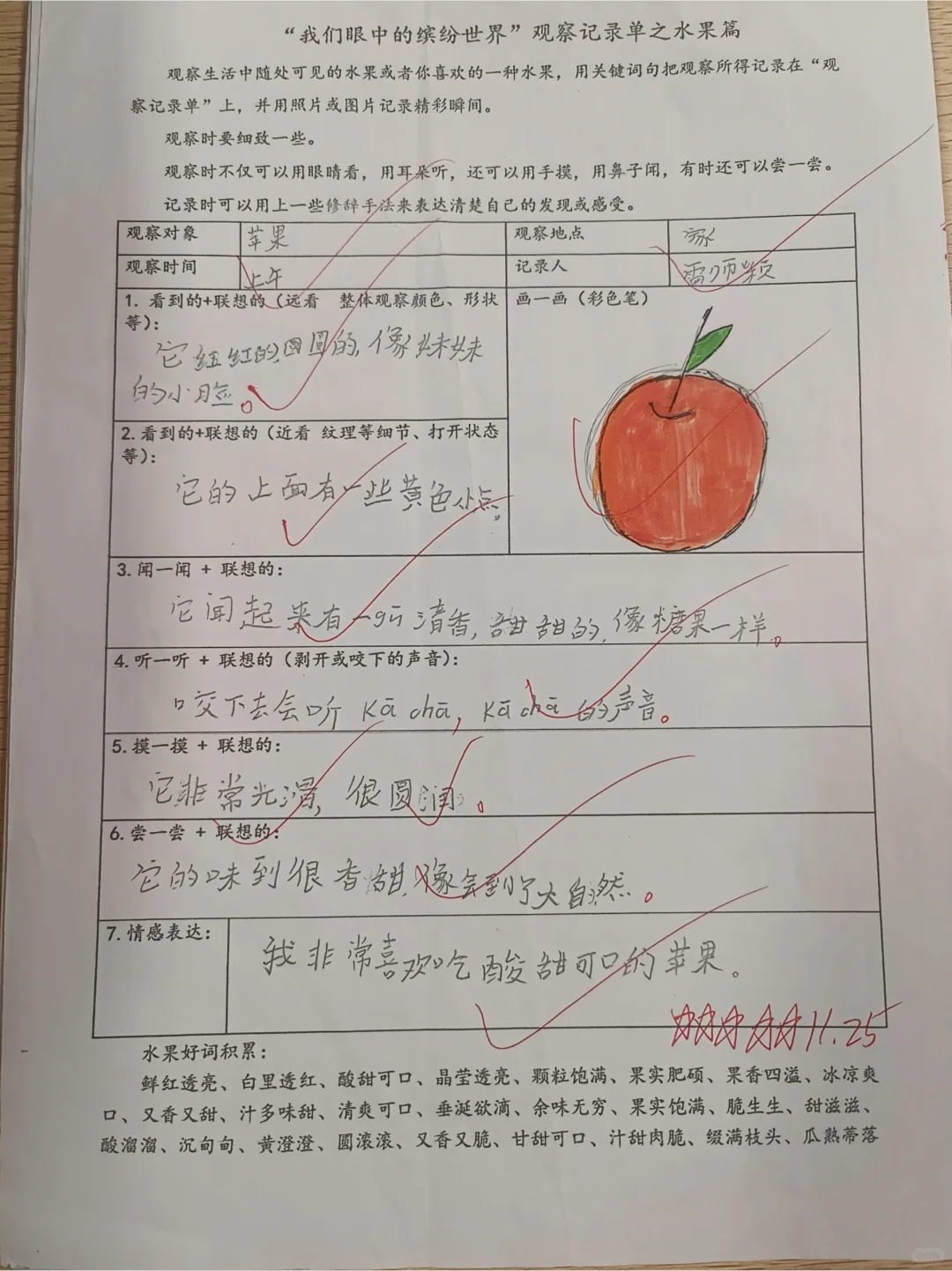 《我眼中的缤纷世界》观察单水果篇