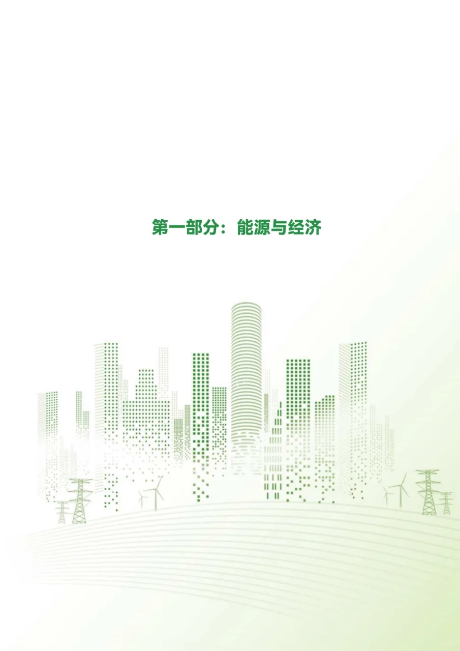 2025中国能源数据报告