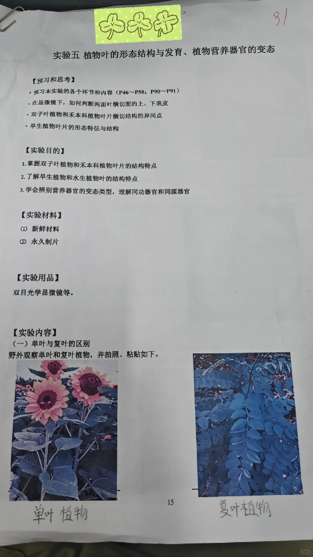 【植物学实验报告五】植物叶的形态结构与