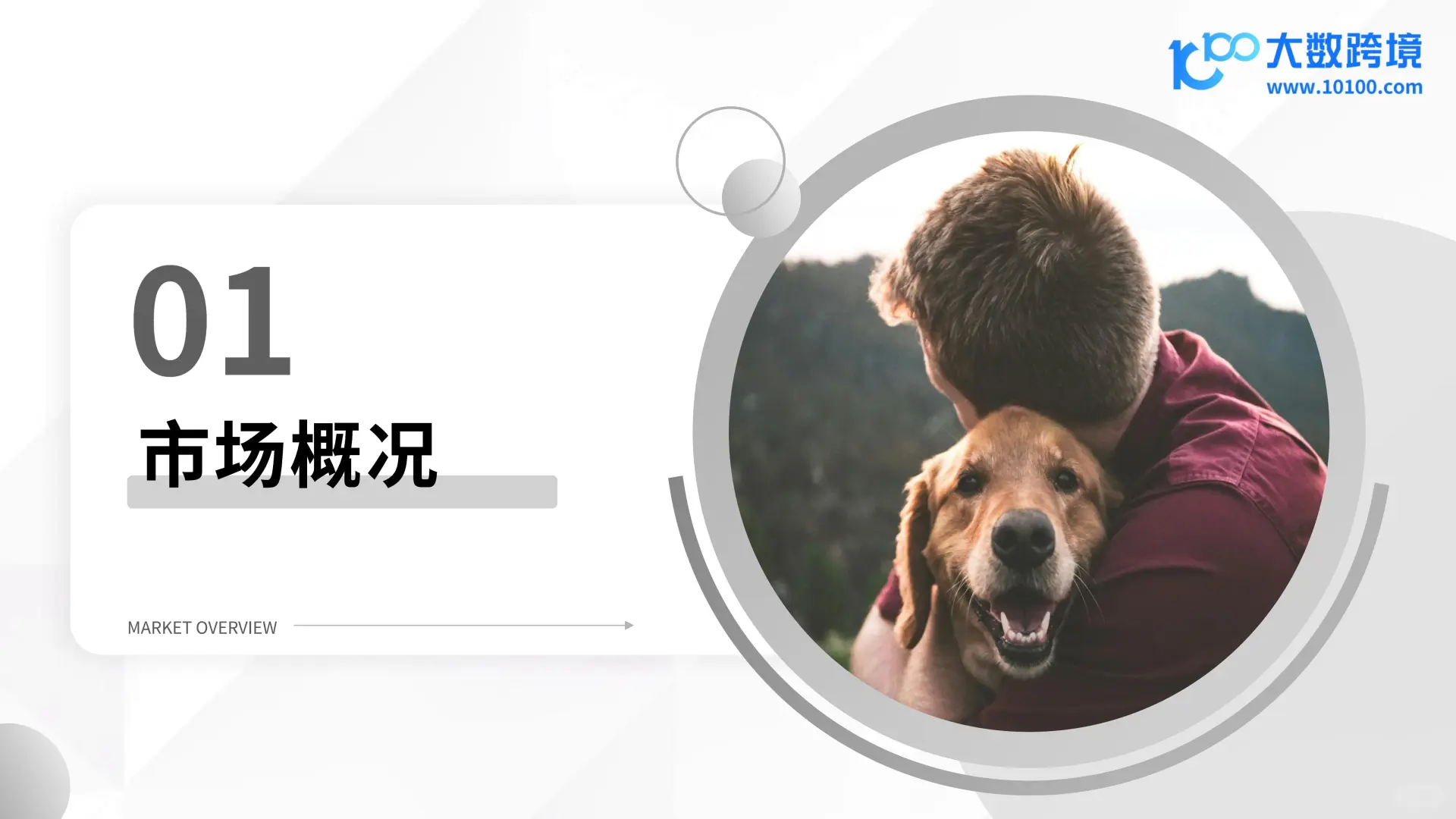 2025 宠物殡葬用品市场洞察报告