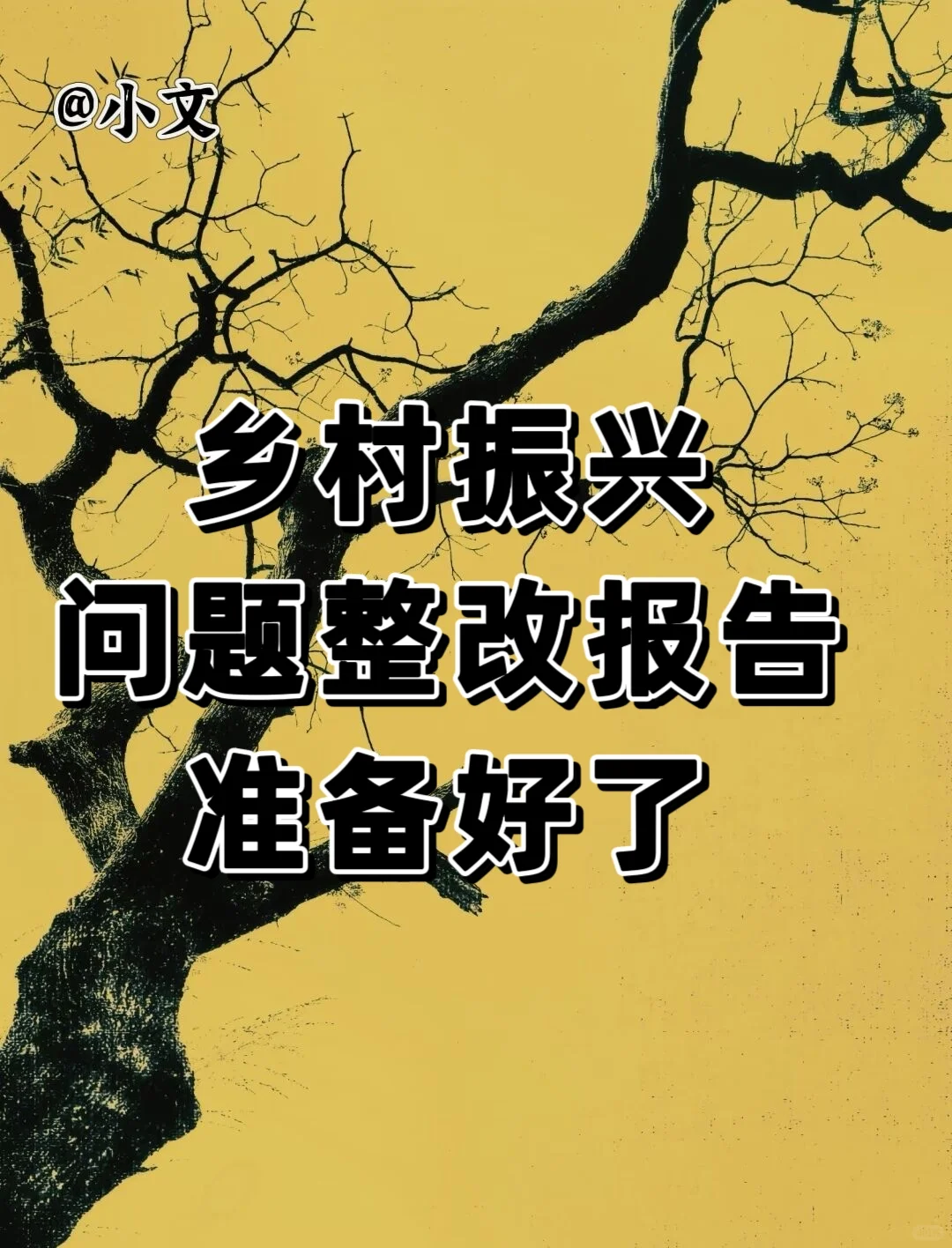 乡村振兴问题整改报告