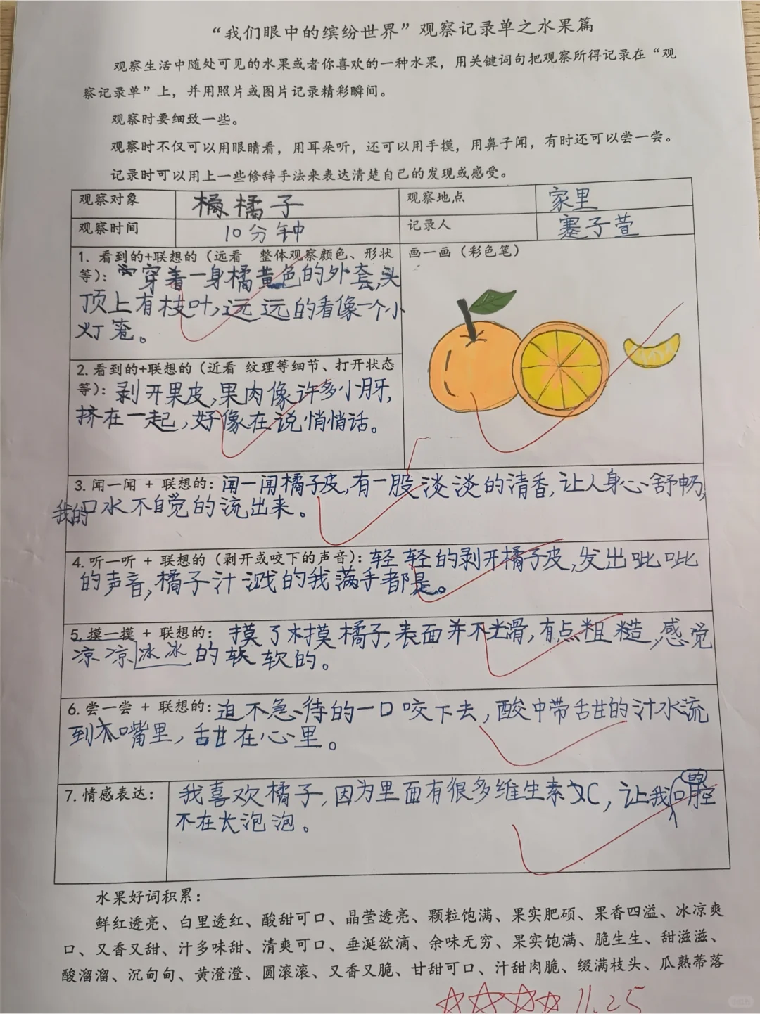 《我眼中的缤纷世界》观察单水果篇
