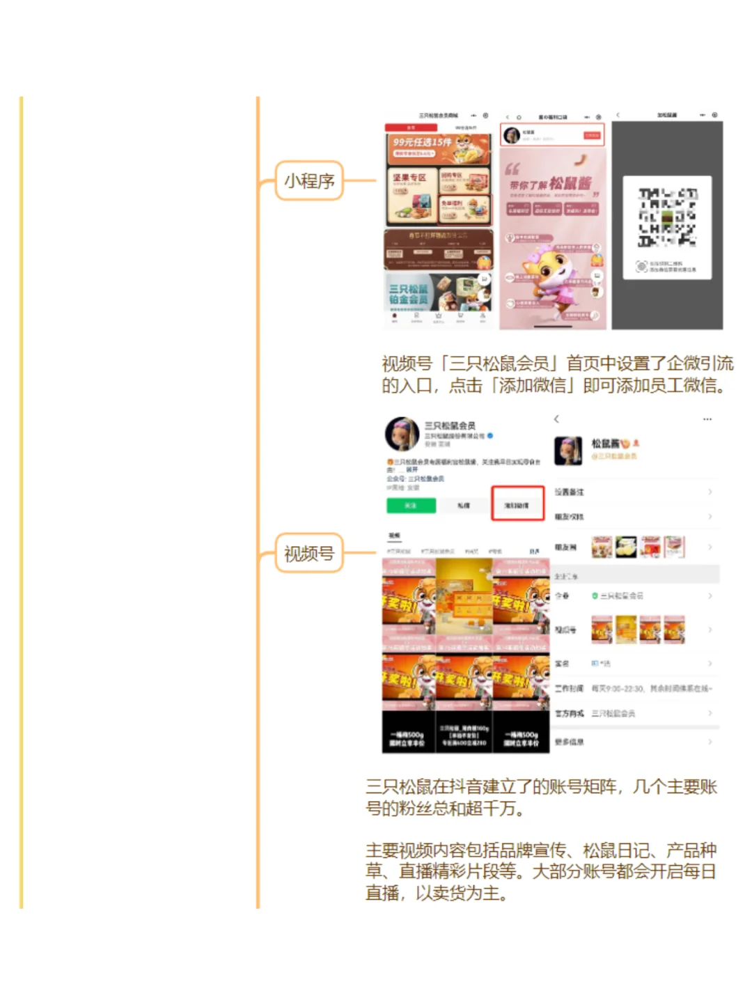 【三只松鼠】私域案例拆解-国民零食第一股