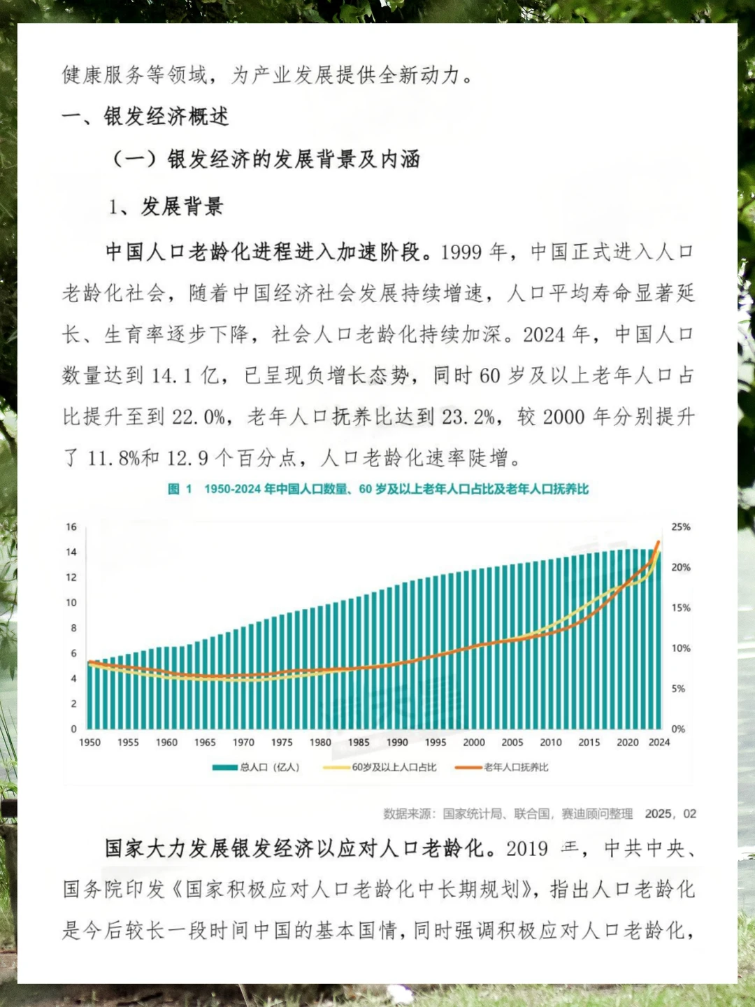 2025年银发经济发展研究报告