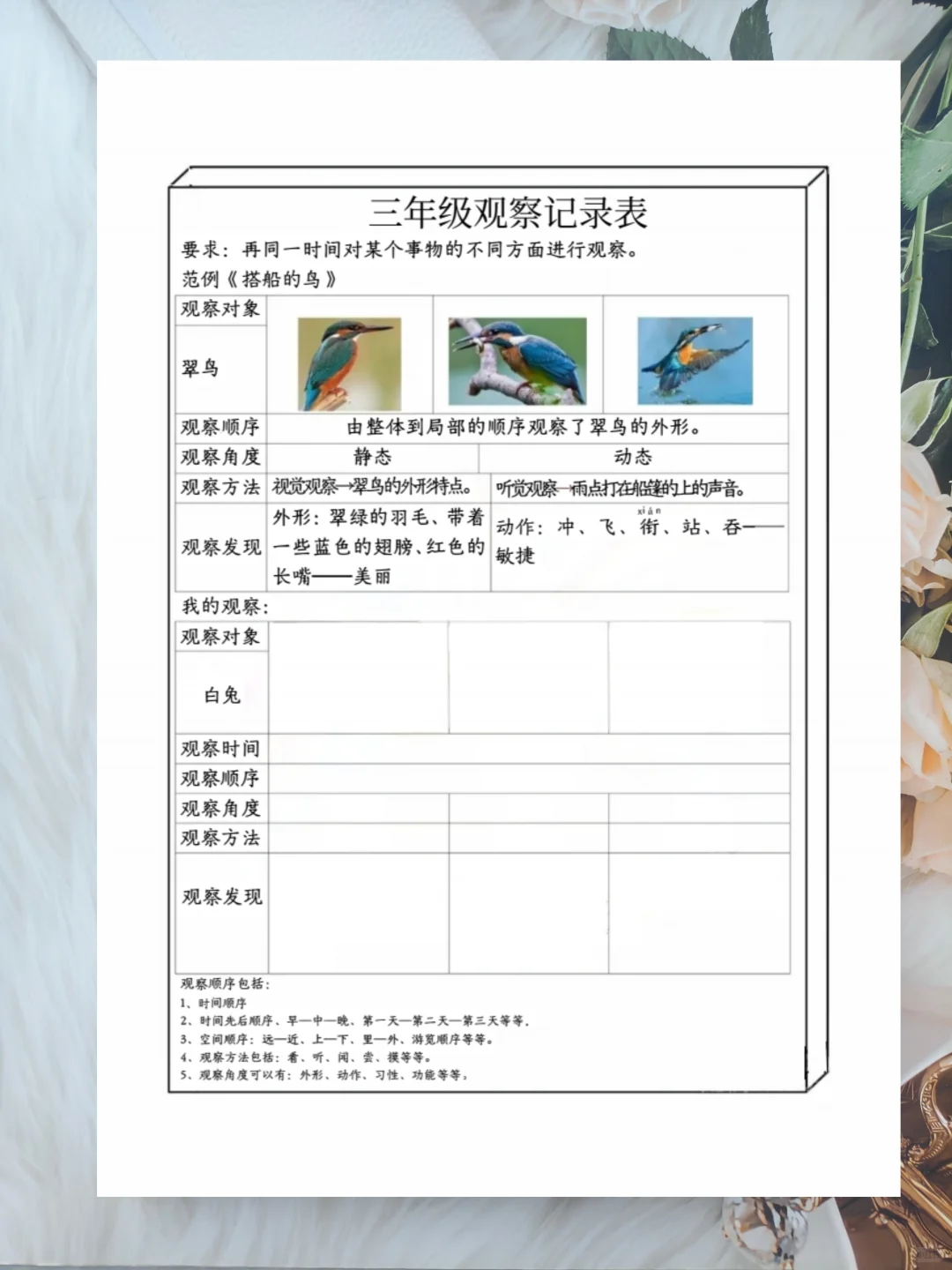 三上第五单元《搭船的鸟》观察记录表?