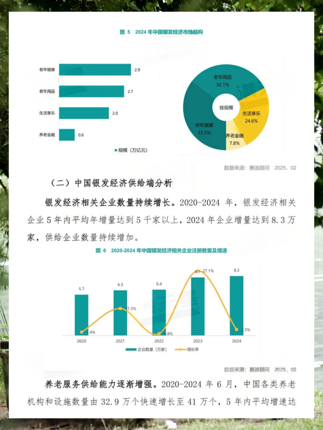 2025年银发经济发展研究报告