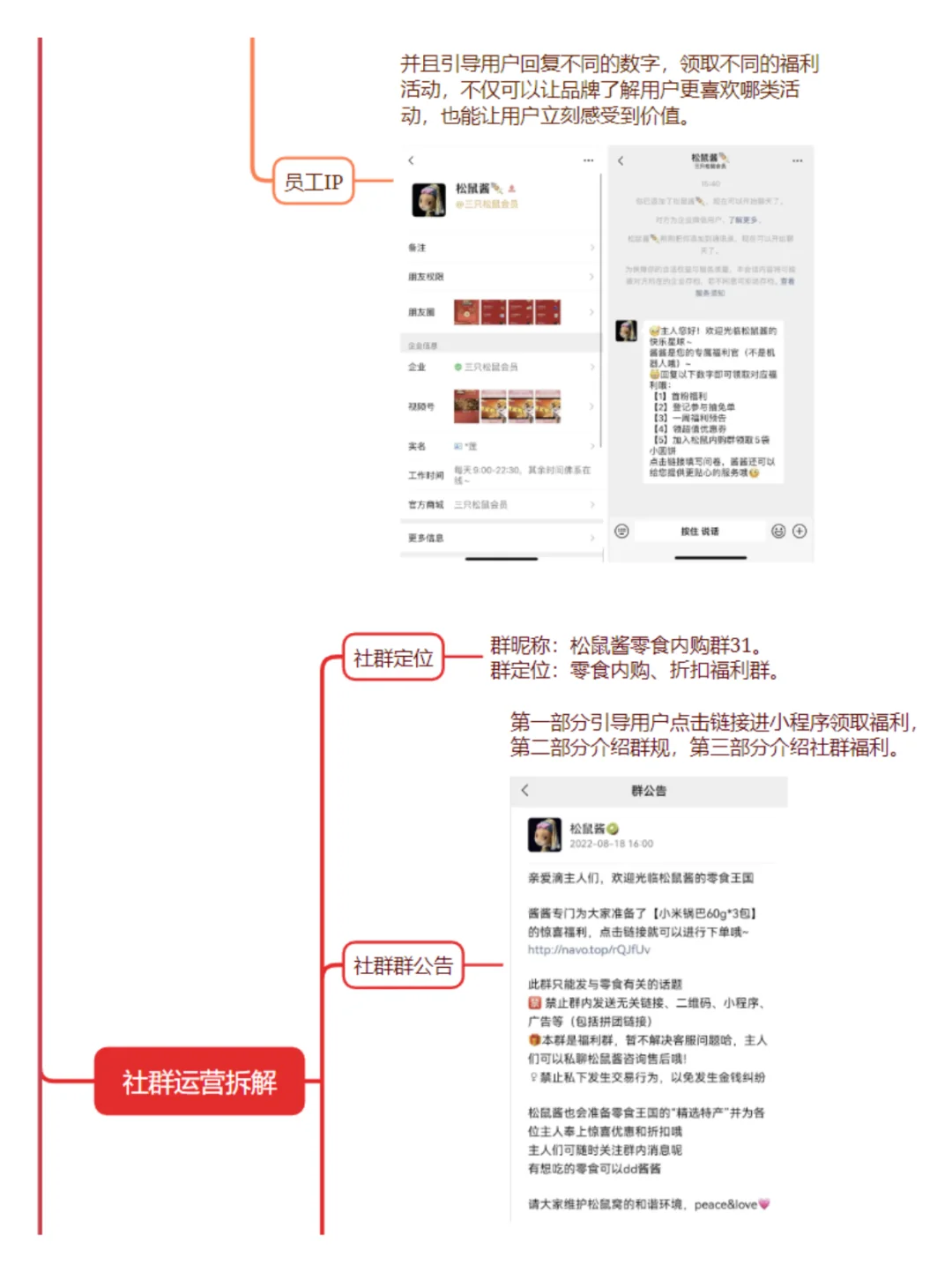【三只松鼠】私域案例拆解-国民零食第一股