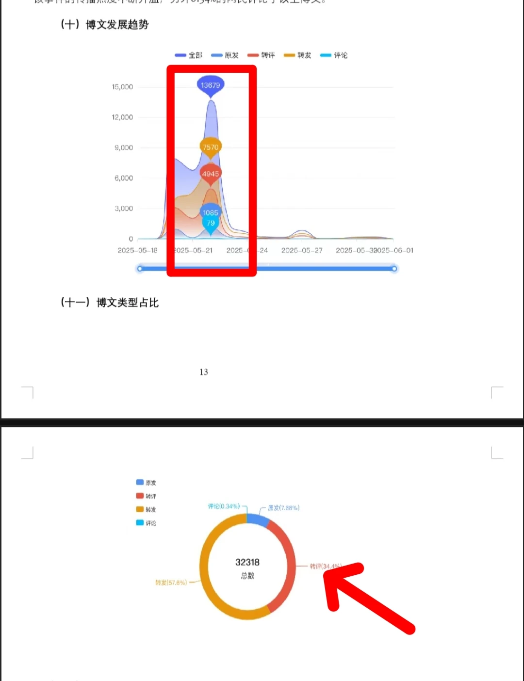 海口汽车拖猫事件最新报告分析