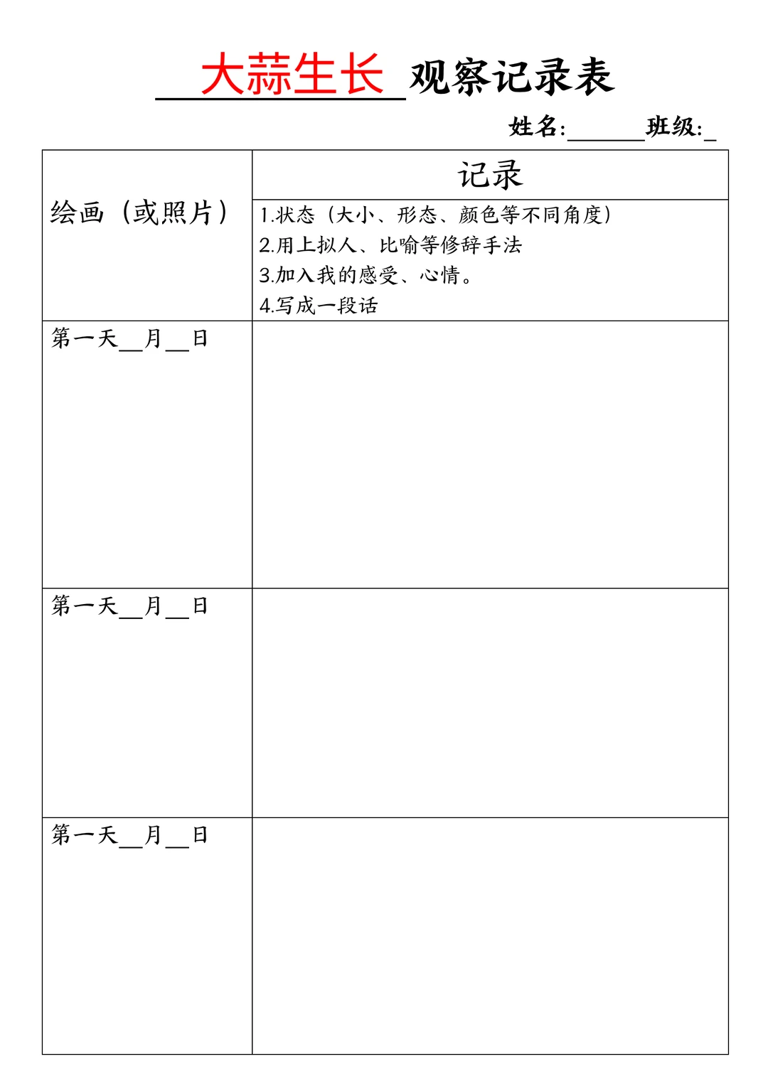 大蒜生长观察记录表