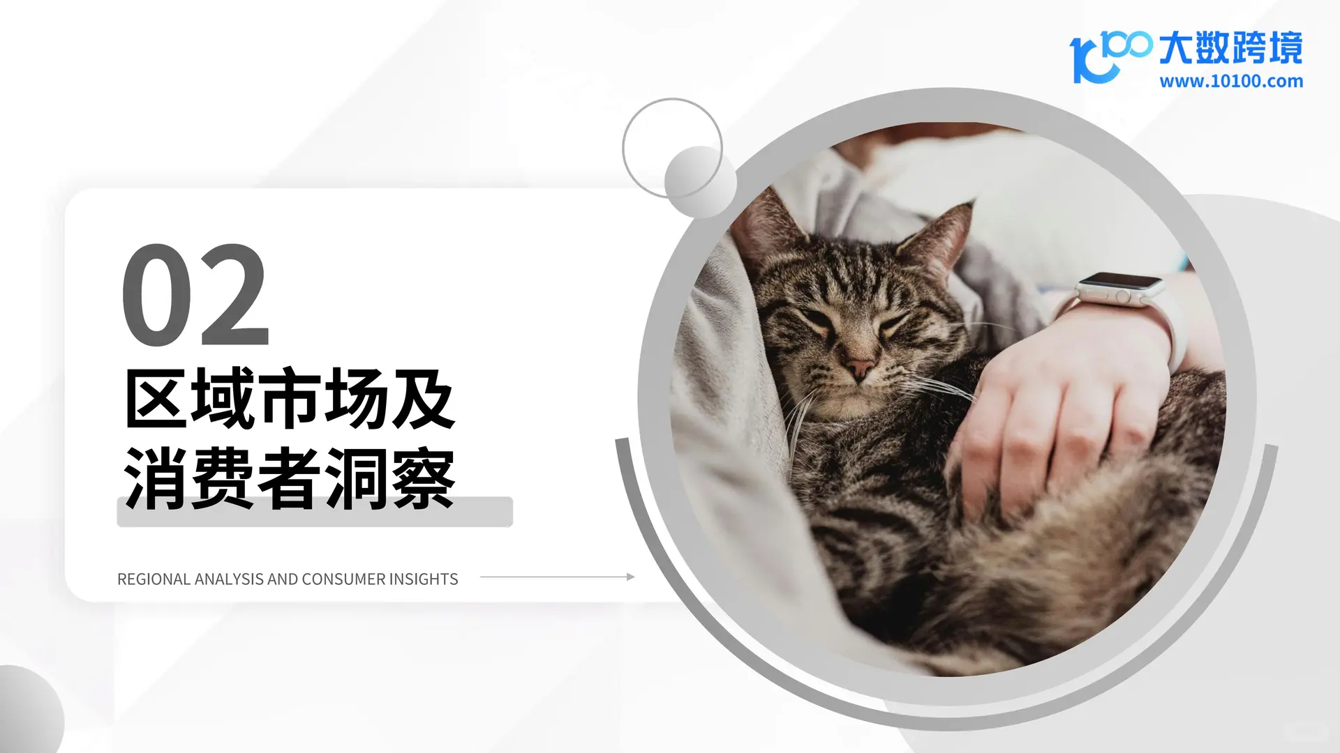 2025 宠物殡葬用品市场洞察报告