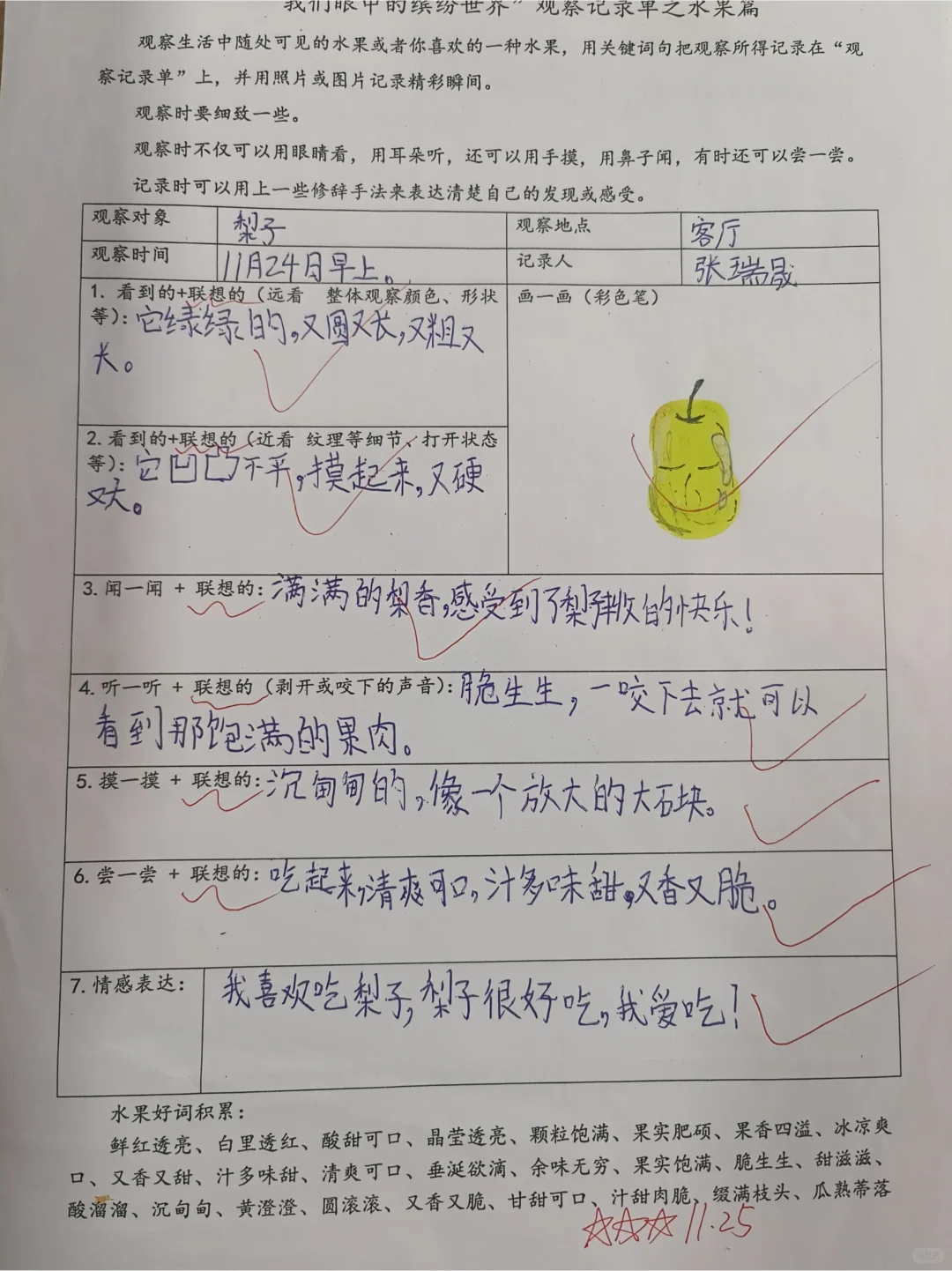 《我眼中的缤纷世界》观察单水果篇