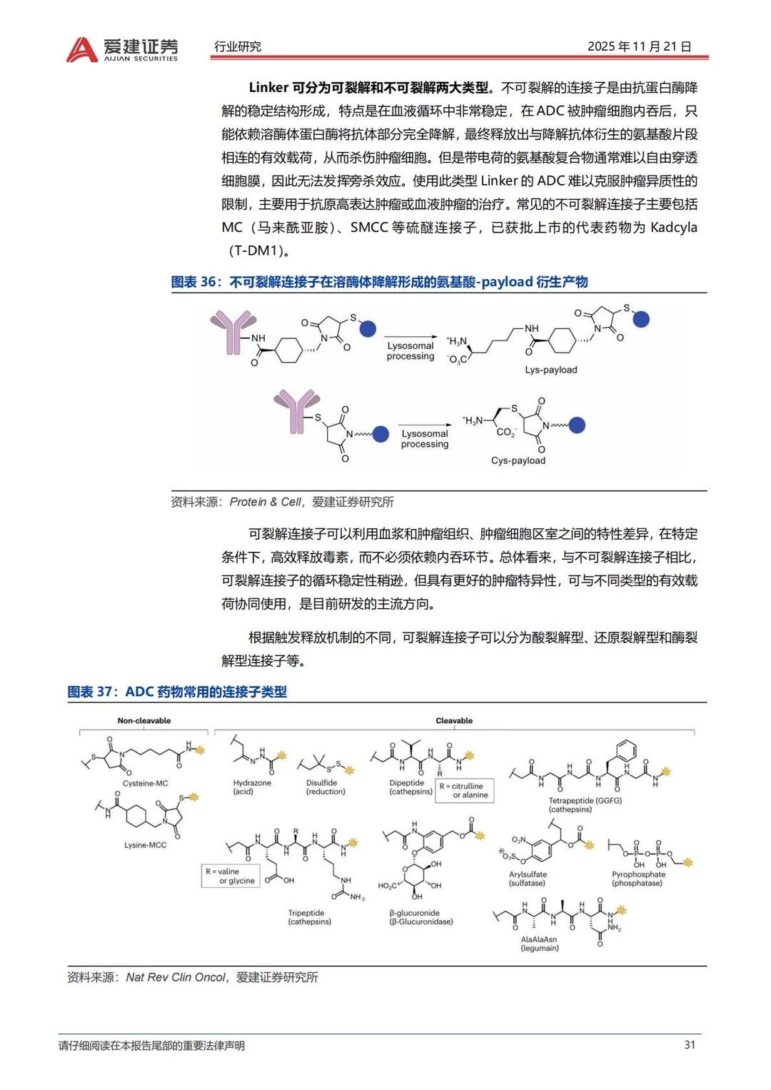 ✅2025抗体偶联药物ADC产业研究
