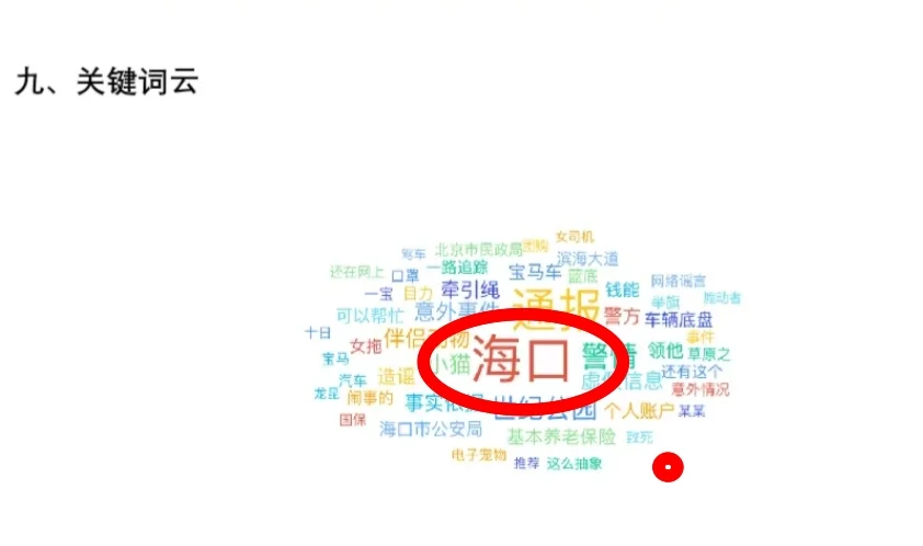 海口汽车拖猫事件最新报告分析