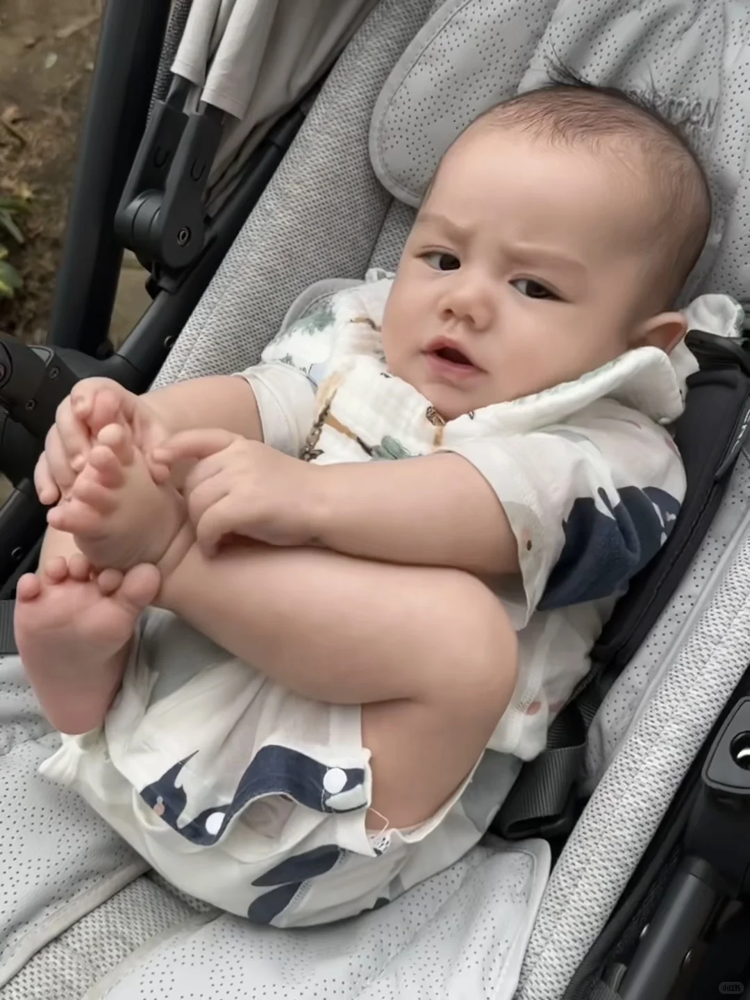 人类幼崽观察手册010|这人是谁?我不认识!
