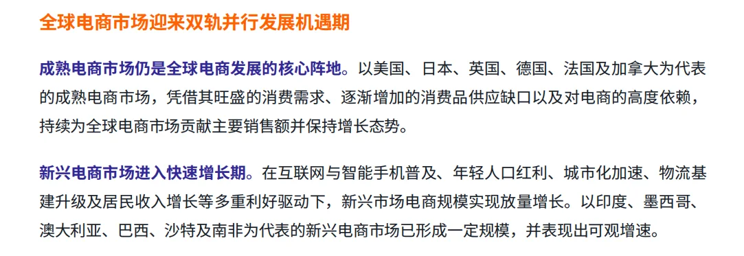 29页|2025全球跨境电商供应链发展趋势