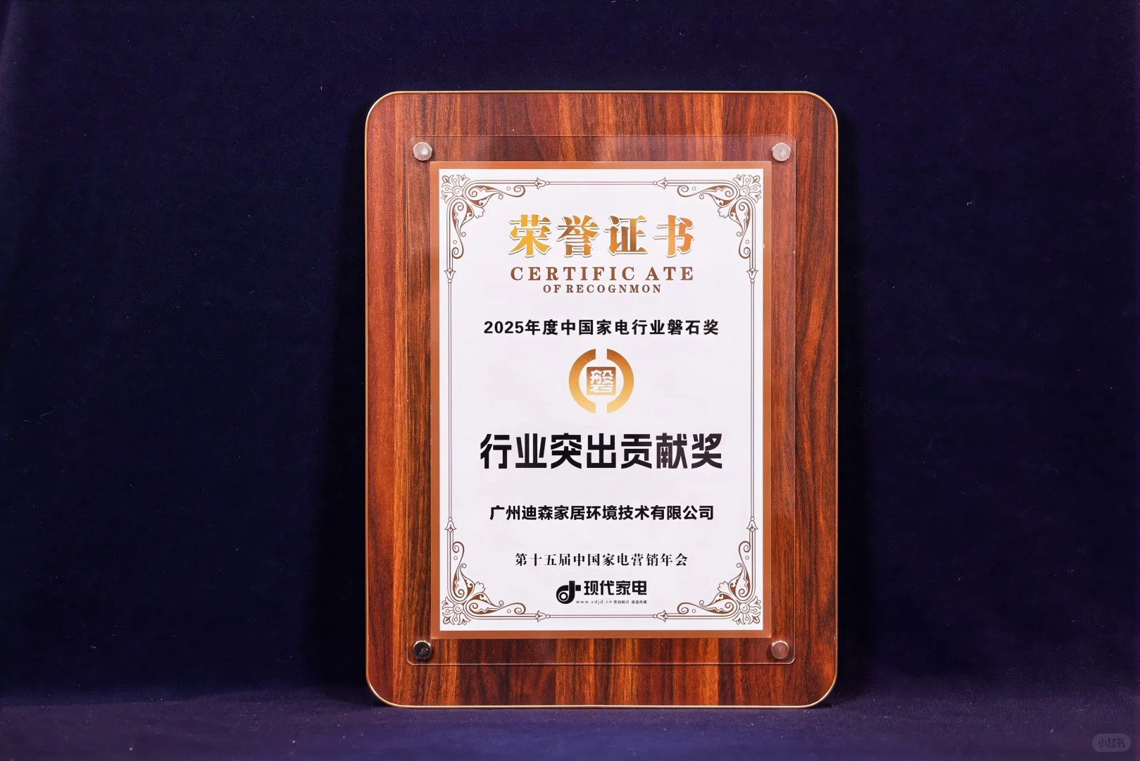 ?小松鼠实力斩获行业两大奖项！