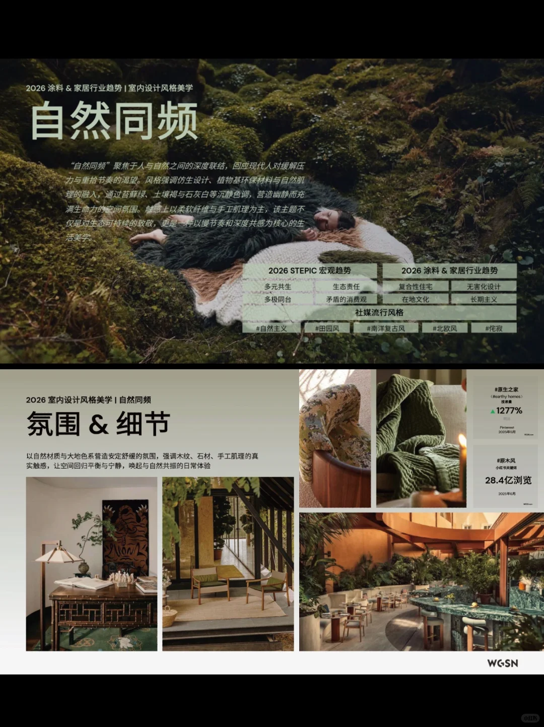 【概念180】 - 2026色彩流行趋势报告