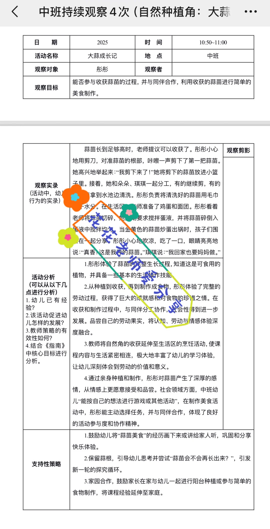 中班（观察大蒜）持续四次观察记录！！